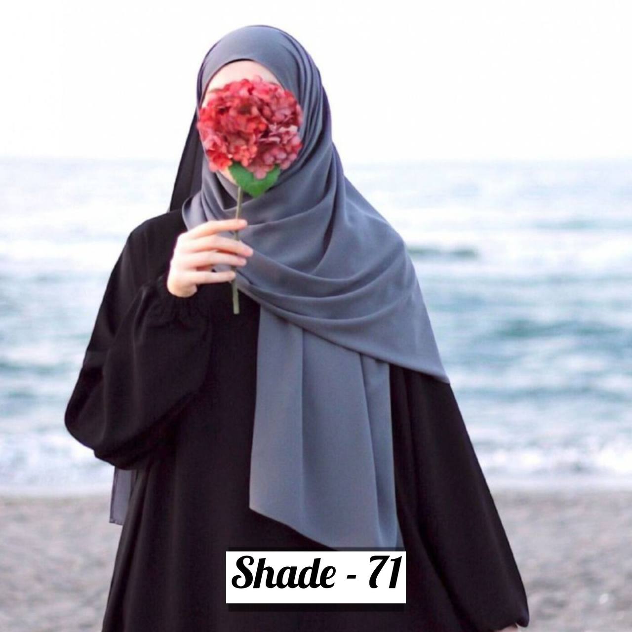 Maleshian Chiffon Stoles SHADE - 71 ( NEW LAUNCH )